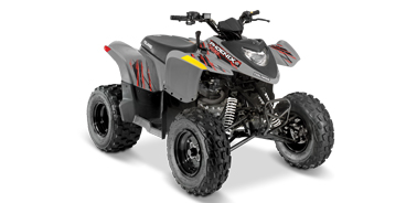 POLARIS PHOENIX 200